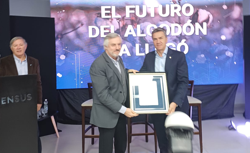 Arandu: la genética que abre una nueva etapa para el algodón argentino
