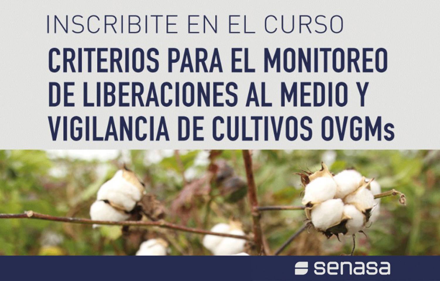 Senasa te invita a participar del Curso 