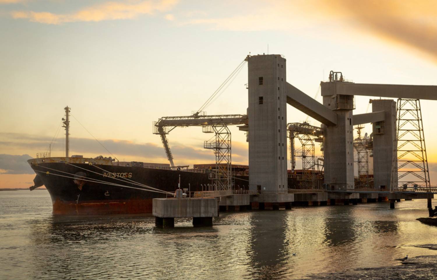 Por una campaña fina con semilla legal