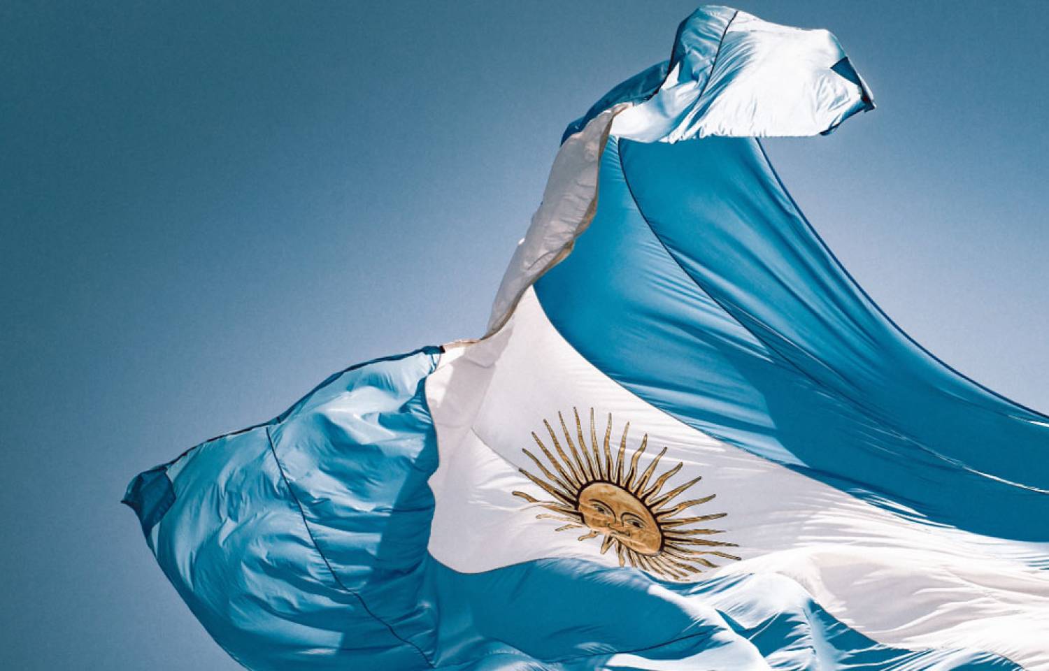 Comunicado desde ASA: Respaldar la modernización que plantea el presidente Javier Milei para proteger el desarrollo de las semillas es aportar al futuro del campo argentino