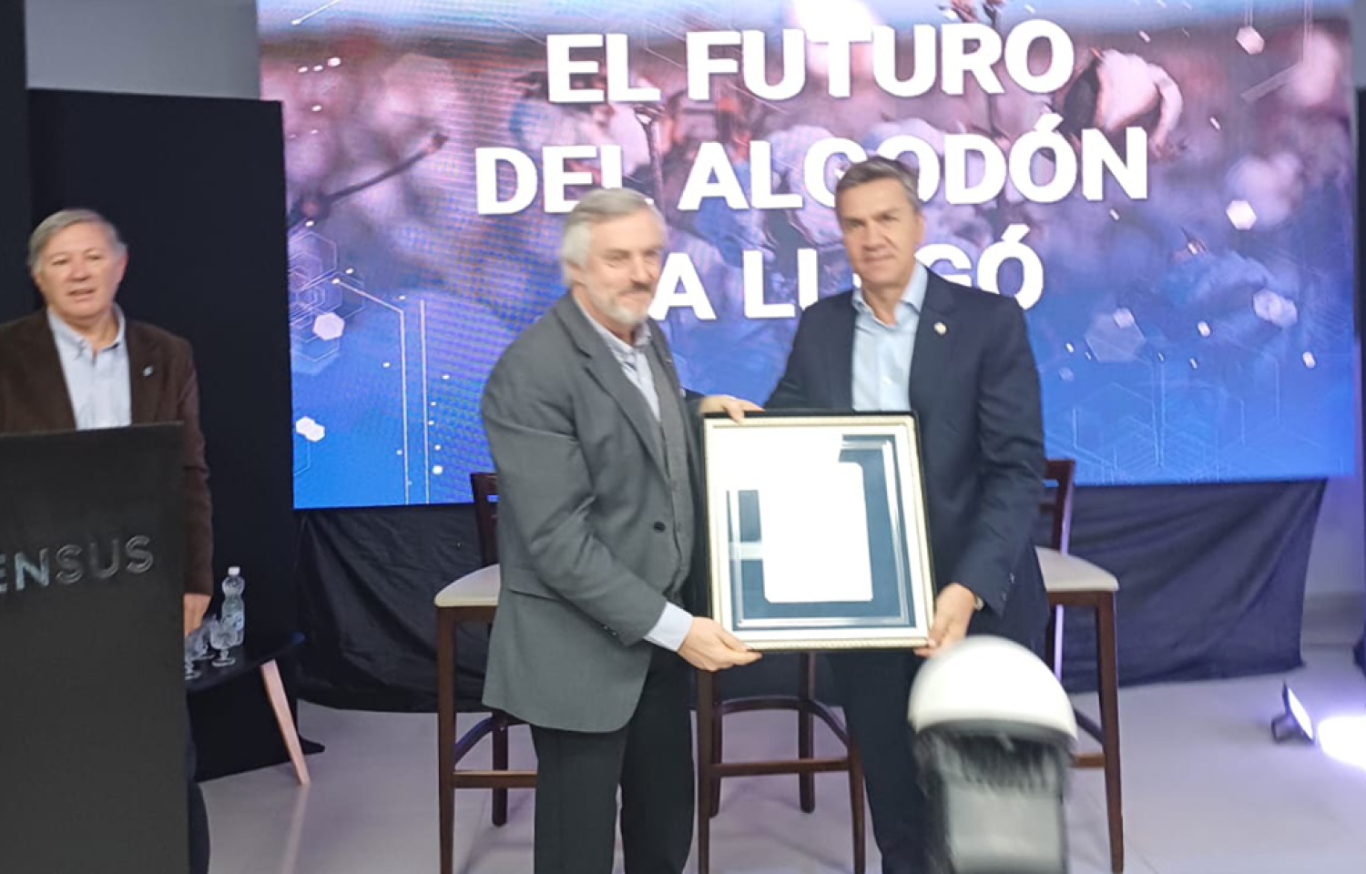 Arandu: la genética que abre una nueva etapa para el algodón argentino